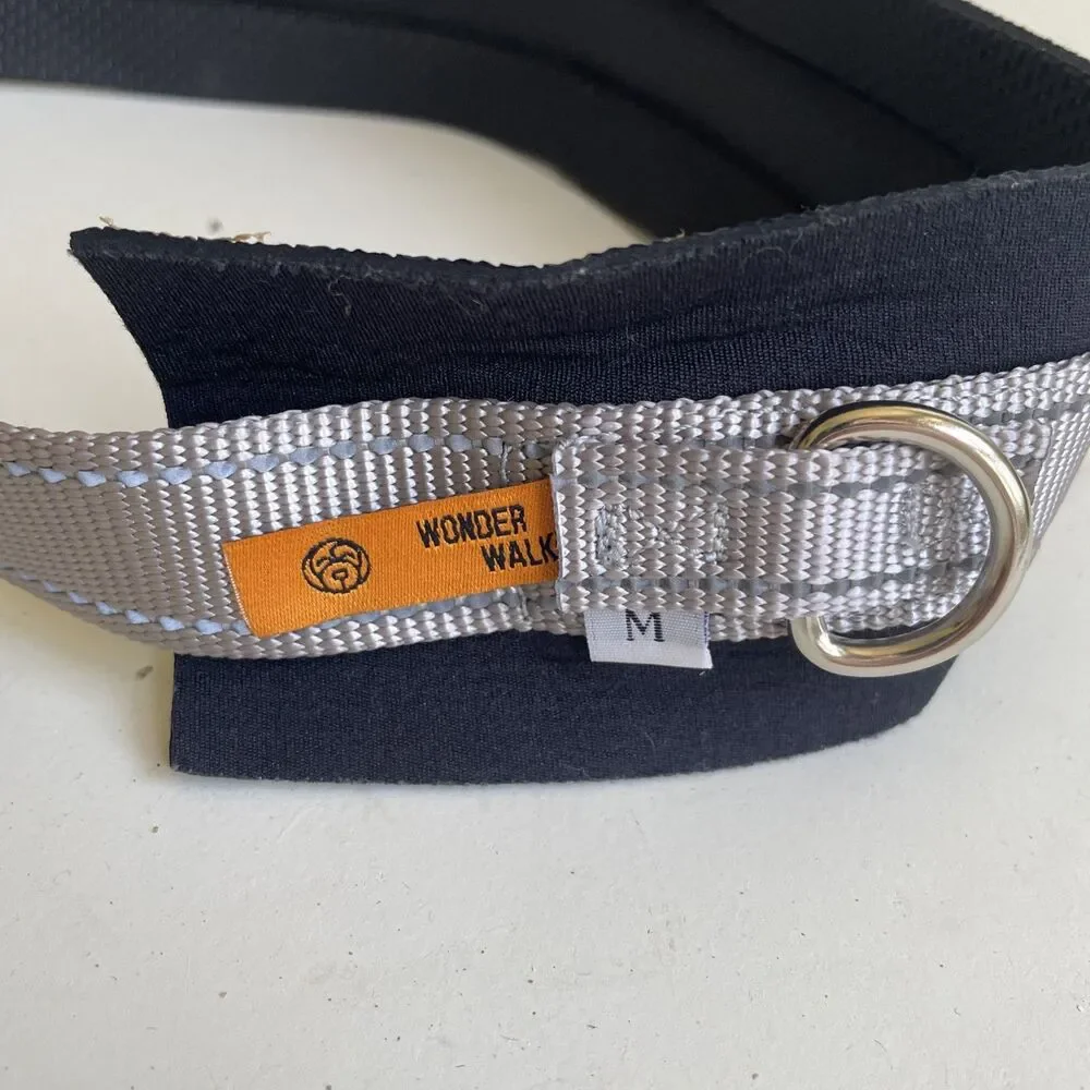 Wonder Walker this belt